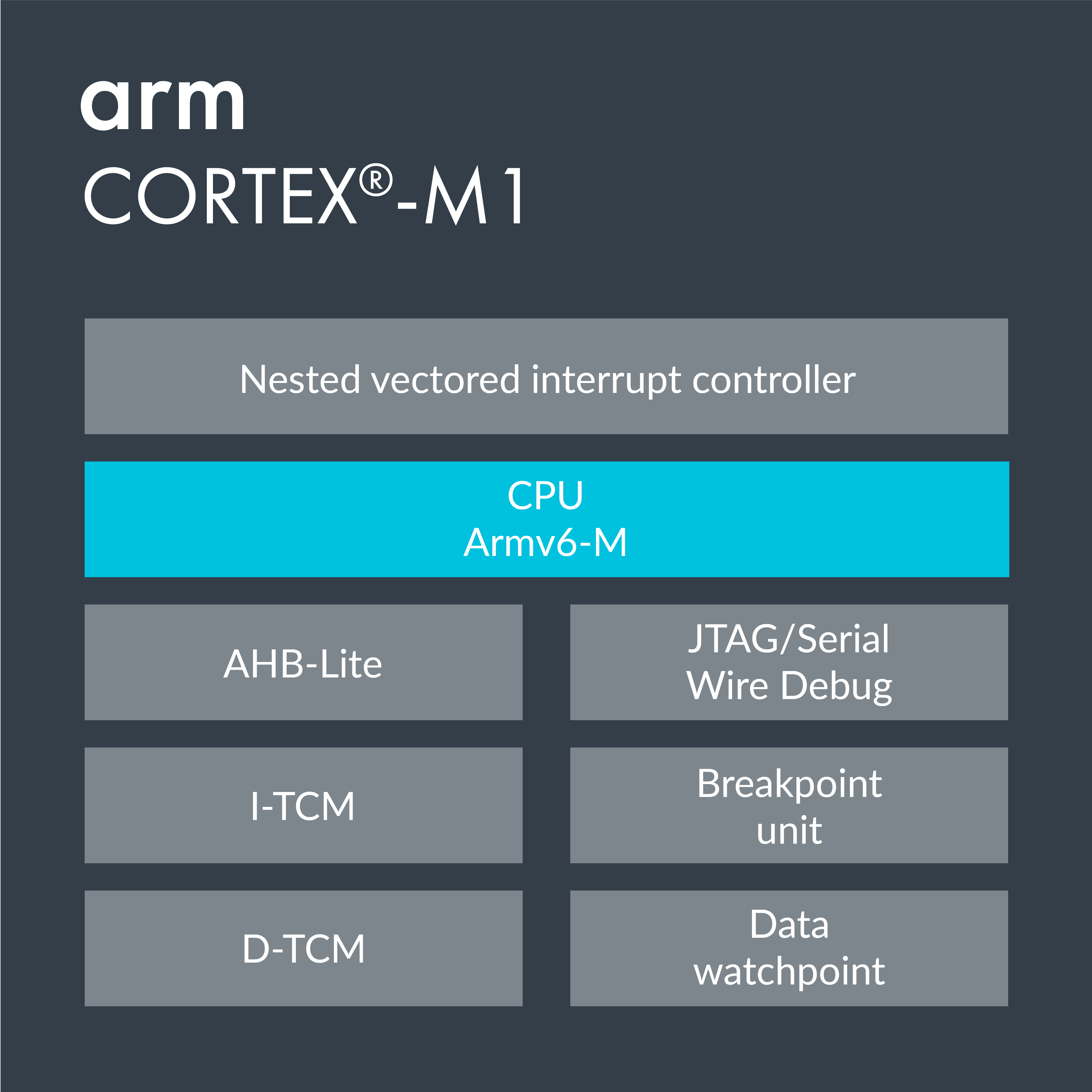 CortexM1 Arm Developer